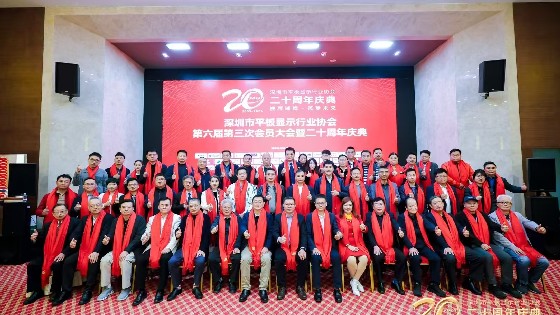 美高梅MGM科技受邀参加深圳市平板显示行业协会（SDIA）第六届第四次理事会、第六届第三次会员大会暨二十周年庆典